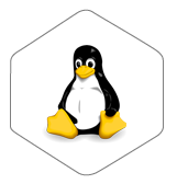 Linux VPS Hosting